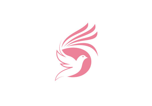 Minimalist flying bird logo  design Transparent Background 
