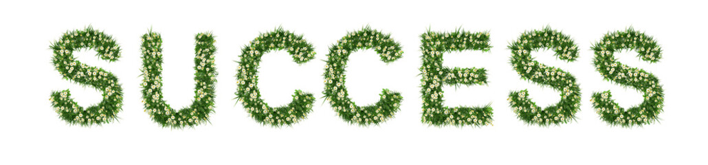 Word SUCCESS made from green grass texture © AAUB