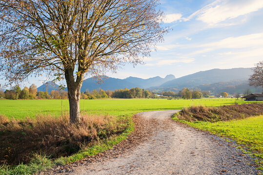 walkway beside tree, view to Wendelstein mountain, bavarian alps near Bad Feilnbach