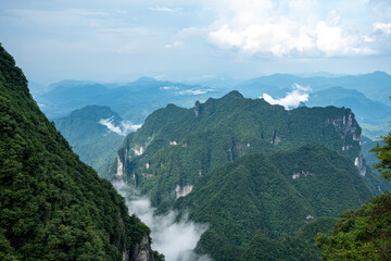 Obraz premium Stunning horizontal landscape of rugged, green mountain peaks jutting out from a sea of thick white fog, showcasing the dramatic elevation and dense vegetation.