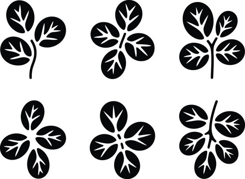 Set of black and white vector icons depicting moringa leaves and branch silhouettes