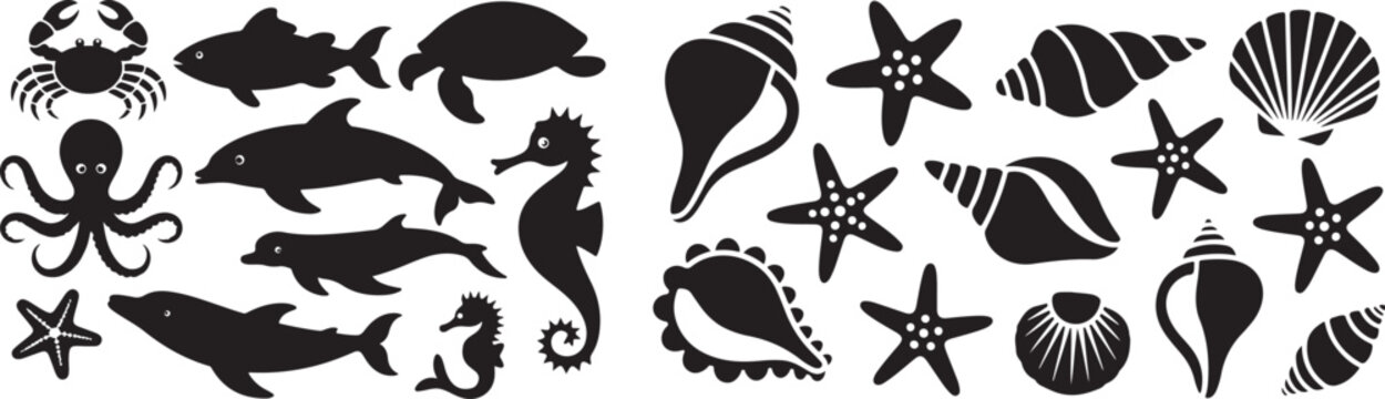 Collection of marine animals and sea shells silhouettes for nautical themed designs and educational graphic projects