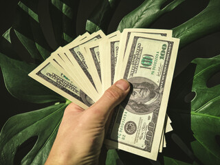 Man hand holds a fan of one hundred US dollar bills on a background of green monstera leaves. Close up view of cash money layout, rich lifestyle, wealth investment success, eco economy business.  © Dmitry Presnyakov