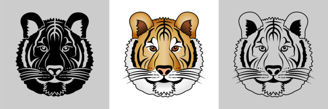 3 Versions d&rsquo;une t&ecirc;te de tigre de face, dessin&eacute;e en silhouette noire, en couleur et en contour filaire - animal correspondant &agrave; 1 des 12 signes des l&rsquo;astrologie chinoise