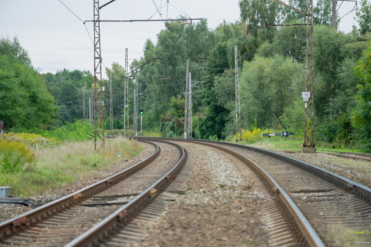 Two railway tracks curve through vegetation beneath overhead electrical wires and support masts, showing electrified rail infrastructure with a distant signal