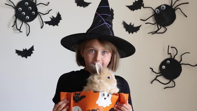 Video portrait happy excited emotional face girl child in black witch hat holding orange candy bucket rabbit against wall decorated background bats. handmade decorations. Pet shop advertising