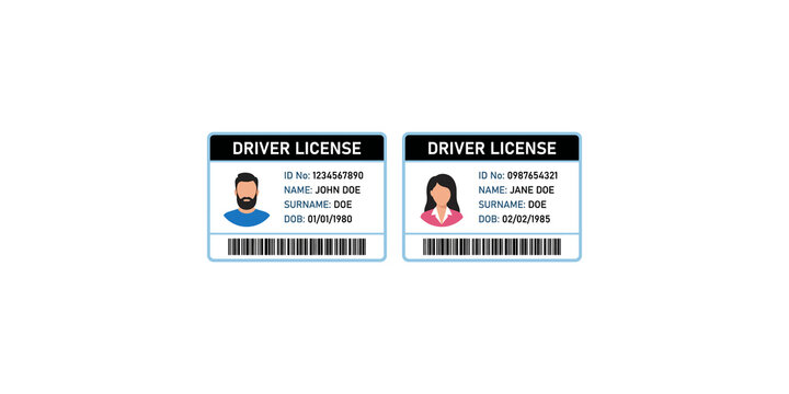 Driver license card set for male and female identity verification and documentation.