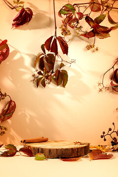An empty birch wood food display stand adorned with red grapevines, set against a kitchen interior, minimalist autumn concept, creative fall composition, and design banner. Thanksgiving greeting card.