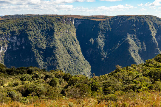 Vegetation and canyon edge at Fortaleza Canyon in southern Brazil