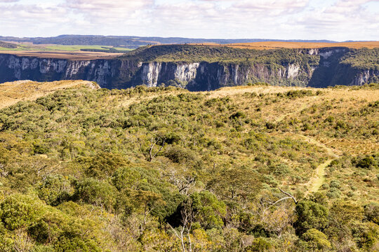 Hiking trail through vegetation with canyon in the background