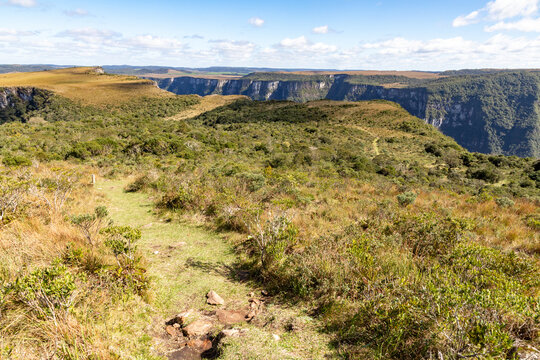 Hiking trail through vegetation with canyon in the background