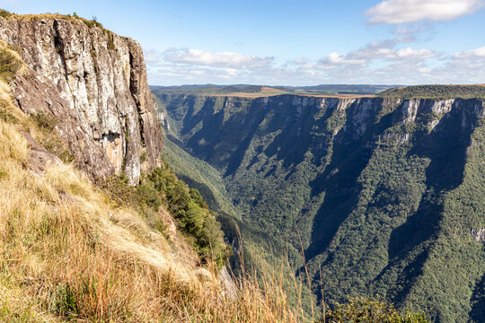 Canyon landscape with grassland and forest in southern Brazil