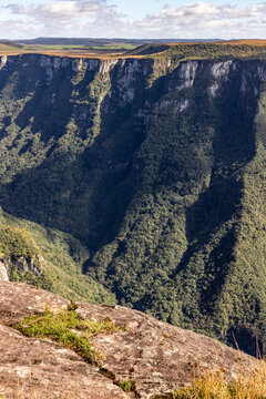 Canyon landscape with grassland and forest in southern Brazil