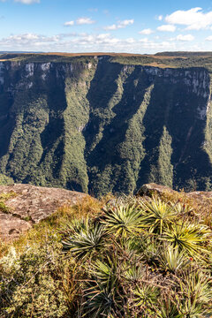 Canyon landscape with grassland and forest in southern Brazil