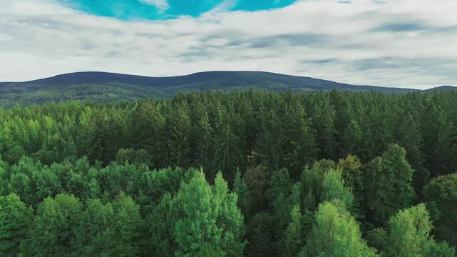 Panorama z wysokości wykonana przy użyciu zmieniającego położenie drona. Pofałdowany teren na Przedg&oacute;rzu Sudeckim, pokryty łąkami, polami uprawnymi i lasami.  