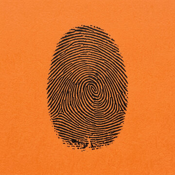 Distinctive Fingerprint Unique Identity Impression Graphic Design