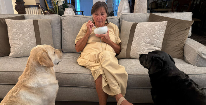 A senior woman sits on a living room couch eating from a bowl while two attentive Labrador dogs wait patiently, conveying warmth, companionship and everyday pet-owner moments in a cozy home setting.