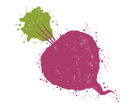 Vintage vector illustration of beet. Vector illustration of beet in grunge style. Retro emblem.