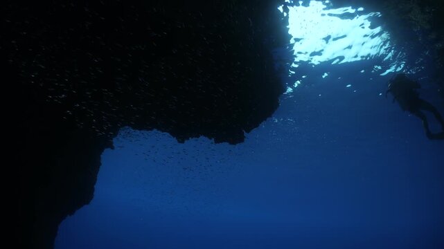 cave underwater with fish in in blue water ocean scenery school of fish hiding mediterranean ocean scenery 