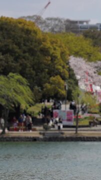Ohori Park panorama in Fukuoka, Japan, Chuo-ku ward, Kyushu island, with pond, Ukimi-do pavilion, bridges and city skyline near Maizuru Park, lake and promenade in a spring sunny day