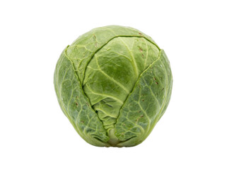 Fototapeta premium Fresh Whole Green Cabbage Head