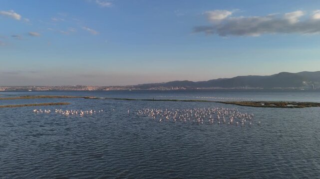 View of Gediz Delta with flamingos and Izmir city,  a major protected coastal wetland covering about 40,000 hectares at the confluence of the Gediz River and the Gulf of İzmir.