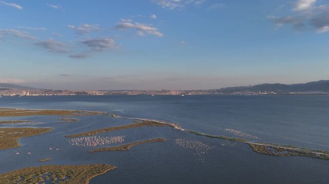 View of Gediz Delta with flamingos and Izmir city,  a major protected coastal wetland covering about 40,000 hectares at the confluence of the Gediz River and the Gulf of İzmir.
