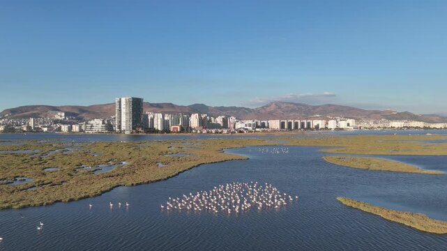 View of Gediz Delta with flamingos and Izmir city,  a major protected coastal wetland covering about 40,000 hectares at the confluence of the Gediz River and the Gulf of İzmir.