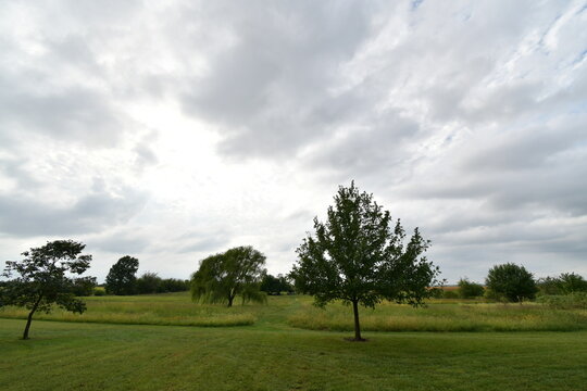 Clouds Over Trees and Grass in a Field