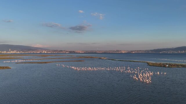 View of Gediz Delta with flamingos and Izmir city,  a major protected coastal wetland covering about 40,000 hectares at the confluence of the Gediz River and the Gulf of İzmir.