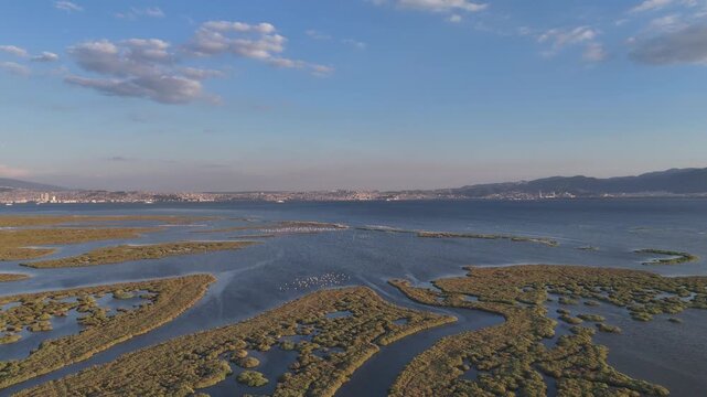 View of Gediz Delta with flamingos and Izmir city,  a major protected coastal wetland covering about 40,000 hectares at the confluence of the Gediz River and the Gulf of İzmir.