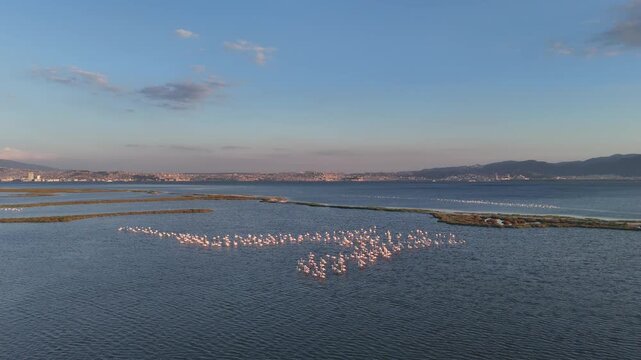View of Gediz Delta with flamingos and Izmir city,  a major protected coastal wetland covering about 40,000 hectares at the confluence of the Gediz River and the Gulf of İzmir.