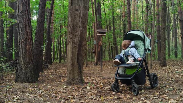 Little baby boy inside pushchair watching wild squirrel scampering into wooden squirrel feeder in autumn woods outdoors