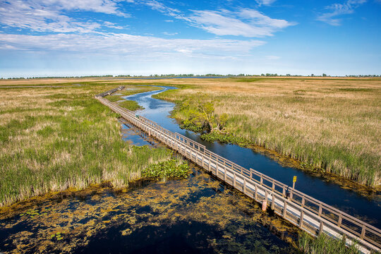 Marsh boardwalk at Point Pelee National Park on a Cloudy Afternoon
