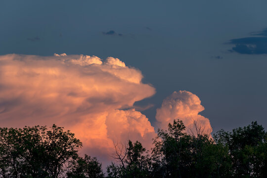 Salmon pink cumulonimbus clouds at sunset with trees in foreground
