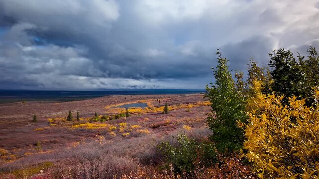 Storm clouds moving over the colorful autumn tundra landscape in Denali National park.
