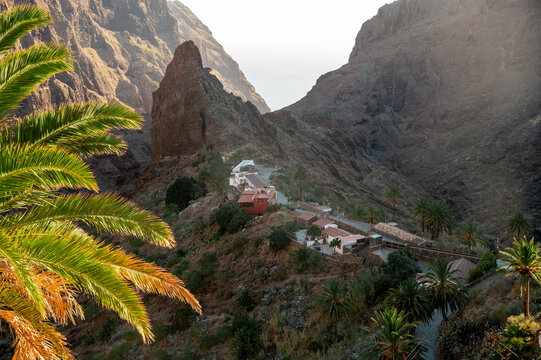A palm frond leans across the frame while Masca sits deep in the gorge with the sea glowing beyond. Subtropical island escape and the pull of somewhere genuinely quiet.