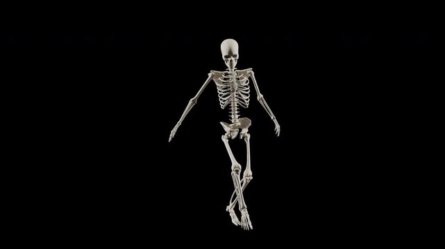 Skeleton Hip Hop Dancing Character Animation with Alpha Channel Transparent Background