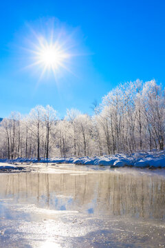 winter landscape with trees