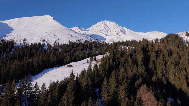 Snowy alpine hills and conifer forest in Tyrol Austria