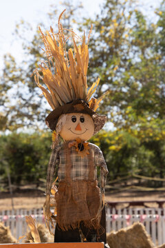 Harvest scarecrow decoration at autumn farm