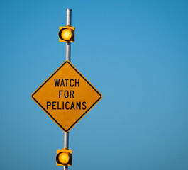 watch for pelicans sign © Penny Britt