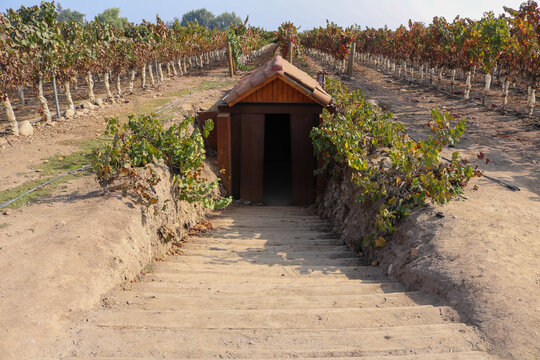 Underground Wine Cellar Entrance in a Vineyard