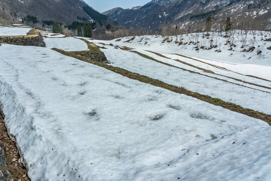残雪が多く残る結束の石垣田