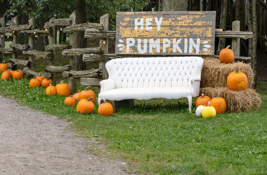 A Sign Inviting People for a Selfie on a White Sofa Surrounded by Pumpkins