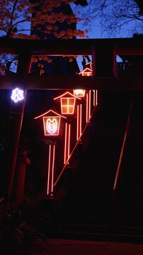 Nakatsukasa Magotaro Inari cyber shrine, Nishi Park, Chuo Ward, Fukuoka City, illuminated staircase with neon lit fox lanterns at night, Kyushu island, Japan, torii gate with cherry blossoms
