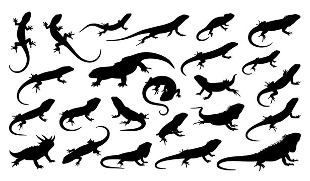 Dynamic Lizard Animal Silhouette Black Flat Vector Set