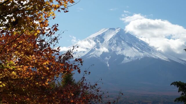 Snow-capped Mount Fuji rises behind vibrant autumn foliage under a