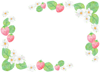 Obraz premium いちごとイチゴの花のフレーム素材 水彩 