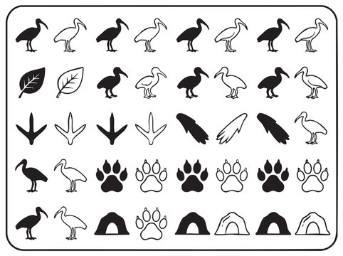 black silhouette with line art vector pair icon set featuring ibis, bird